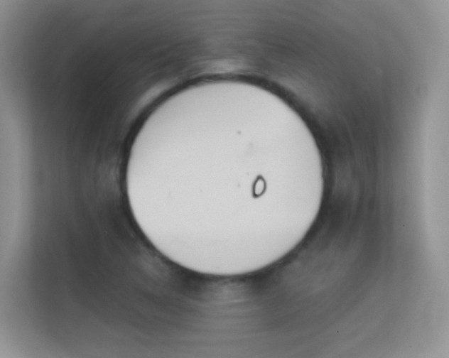 X0000113531314200909250858