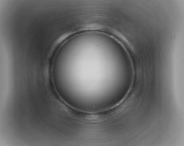 X0000113531315200909250858