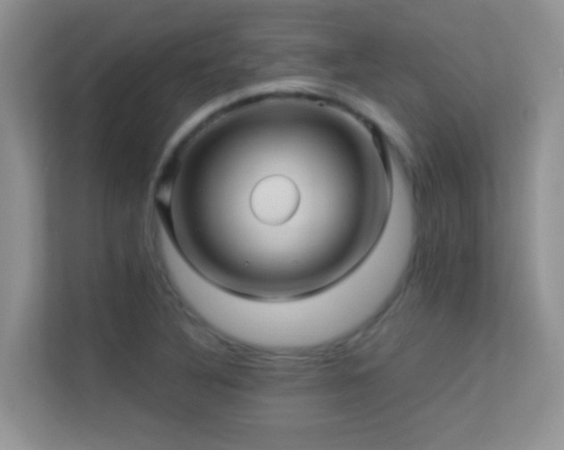 X0000113531316200909250858