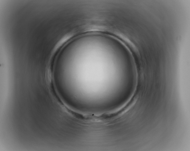 X0000113531317200909250858