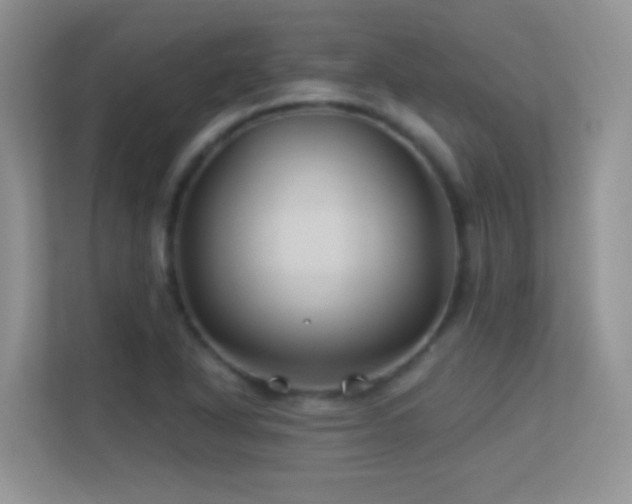 X0000113531318200909250858