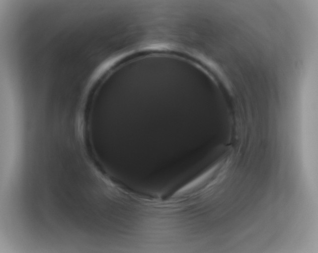 X0000113531319200909250858