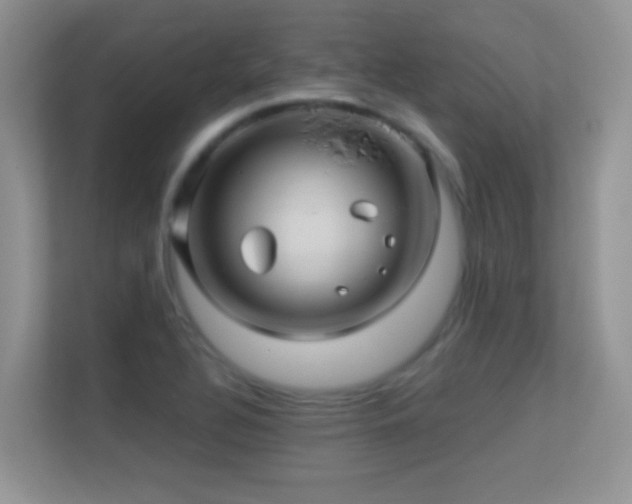 X0000113531320200909250858