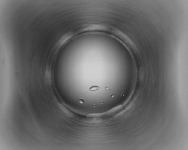 X0000113531321200909250858