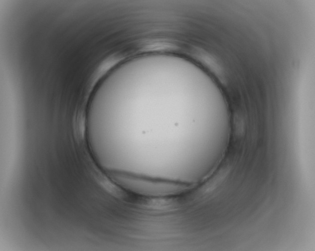 X0000113531322200909250858