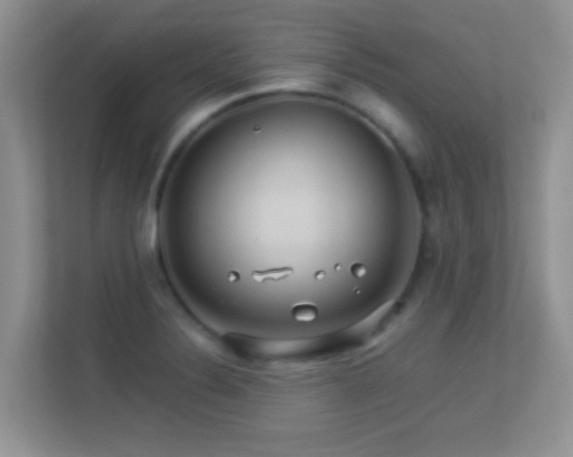 X0000113531324200909250858