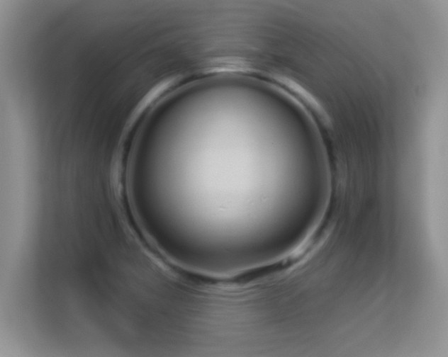 X0000113531325200909250858