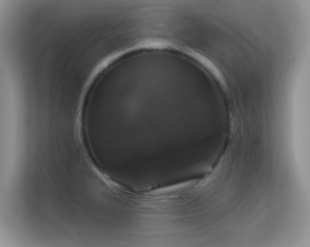 X0000113531327200909250858