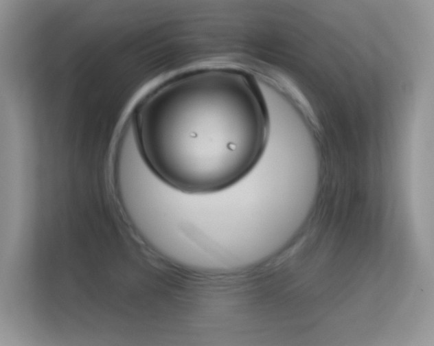 X0000113531328200909250858