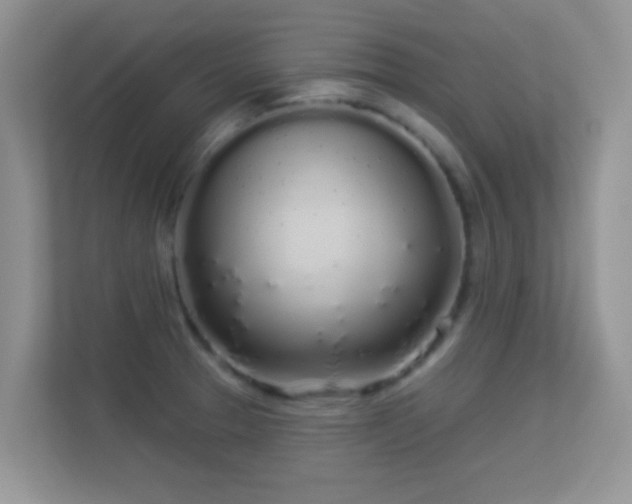 X0000113531329200909250858