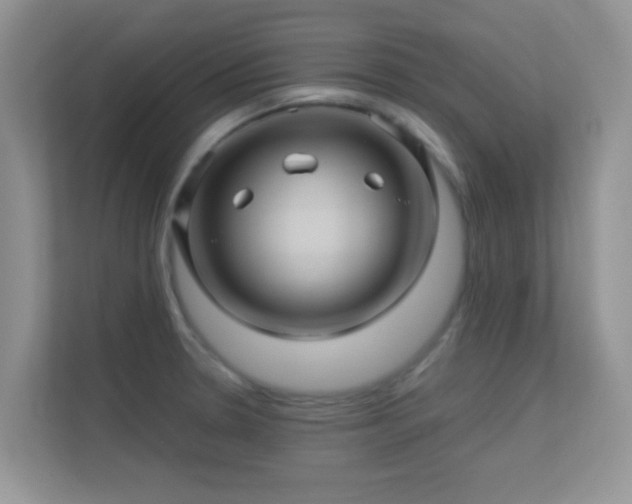 X0000113531330200909250858