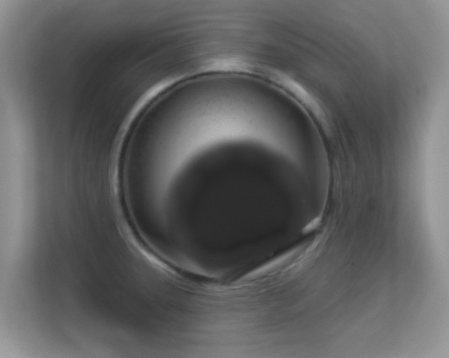 X0000113531331200909250858