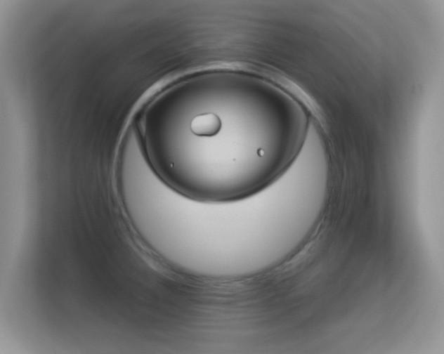 X0000113531332200909250858