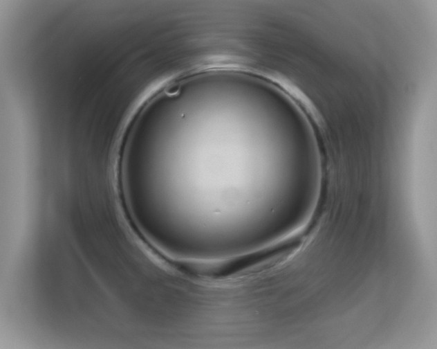 X0000113531333200909250858