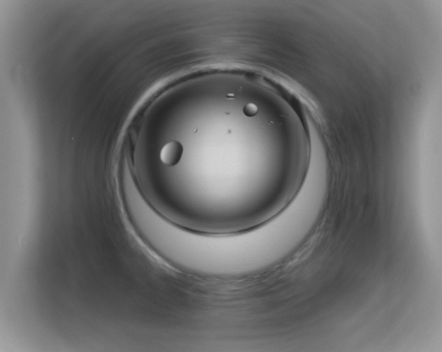 X0000113531334200909250858