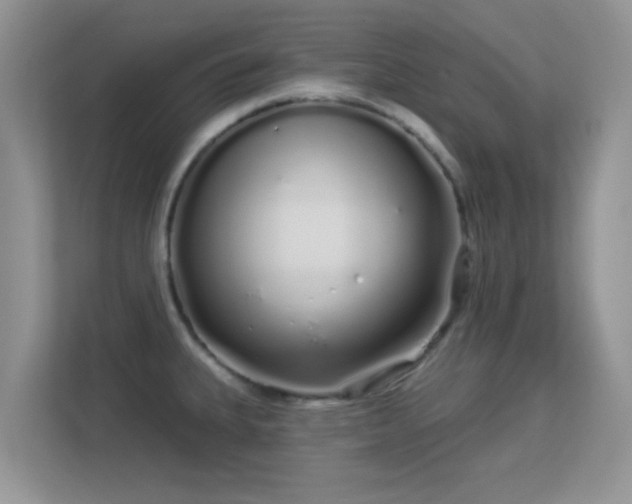 X0000113531335200909250858
