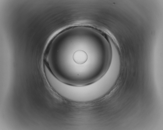 X0000113531336200909250858