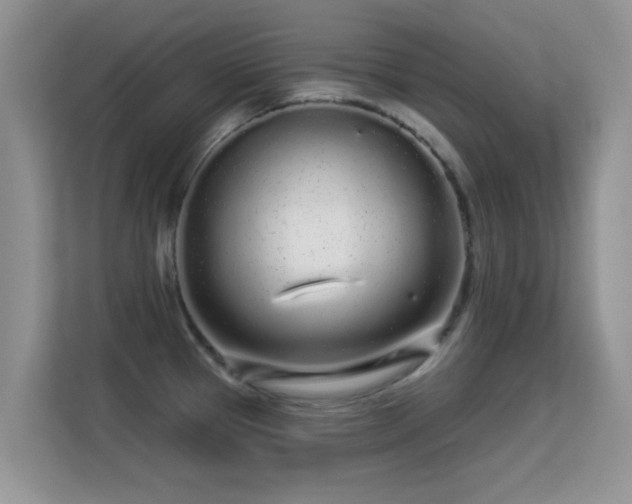 X0000113531337200909250858