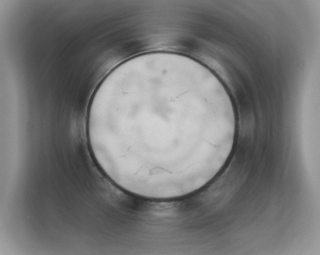 X0000113531338200909250858
