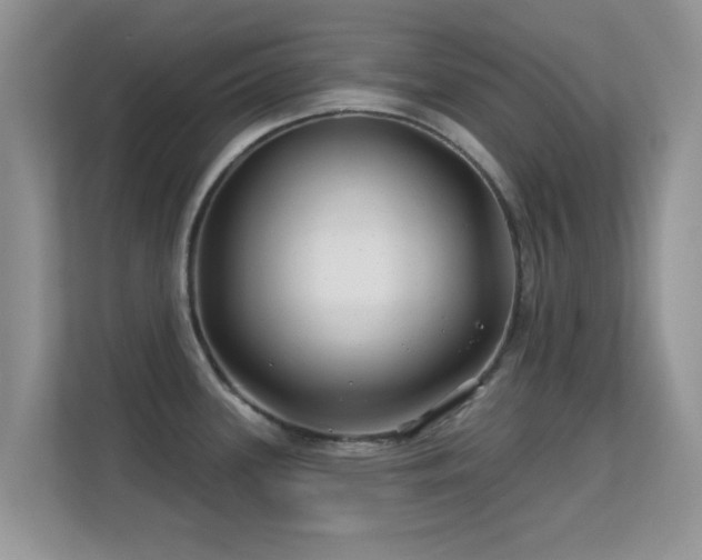 X0000113531339200909250858