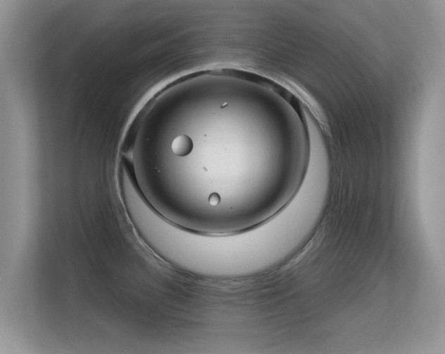 X0000113531340200909250858