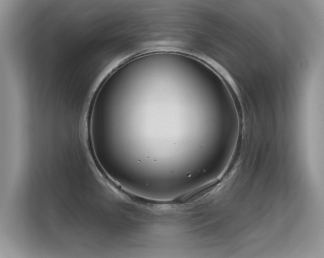 X0000113531341200909250858