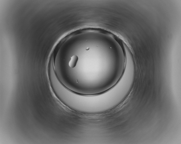 X0000113531342200909250858