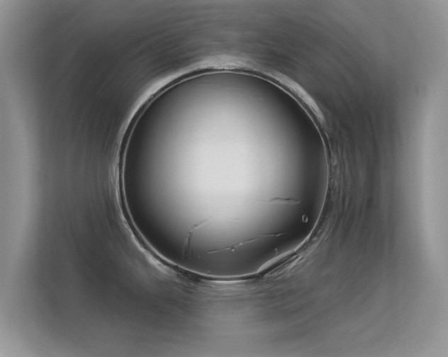 X0000113531343200909250858