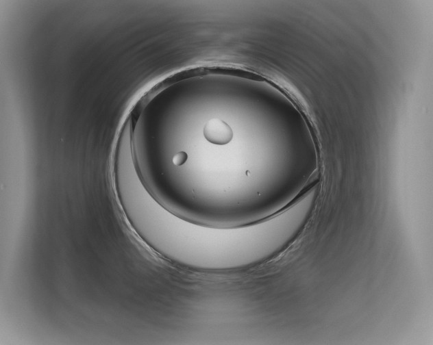 X0000113531344200909250858