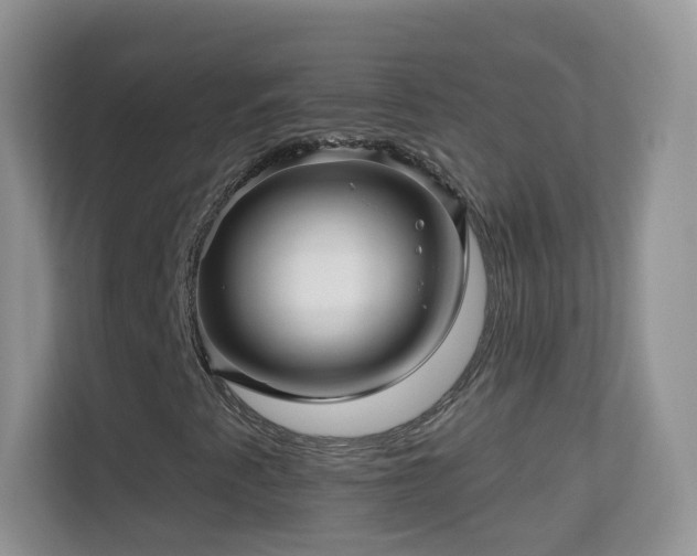 X0000113531345200909250858