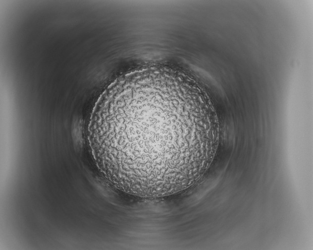 X0000113531346200909250858