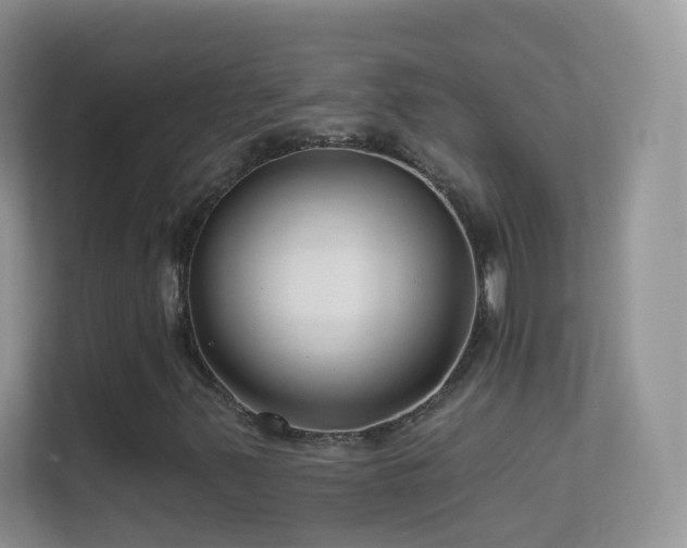 X0000113531347200909250858