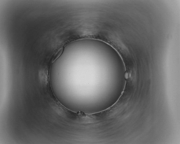 X0000113531348200909250858