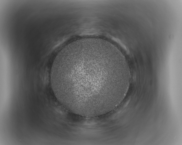 X0000113531350200909250857