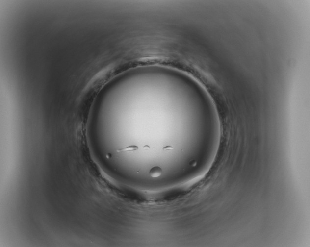 X0000113531351200909250857