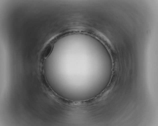 X0000113531352200909250857