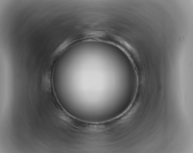 X0000113531354200909250857