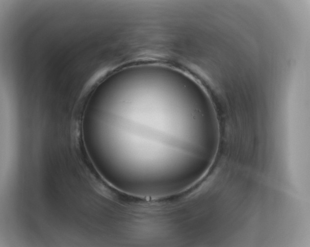 X0000113531355200909250857
