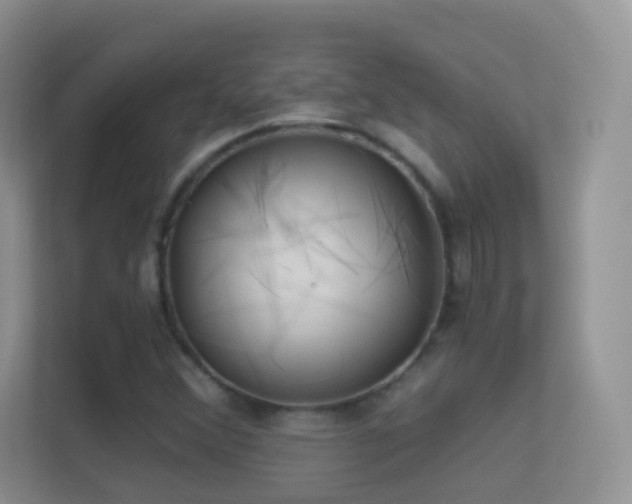 X0000113531356200909250857