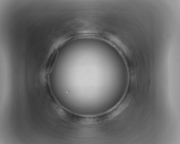 X0000113531357200909250857