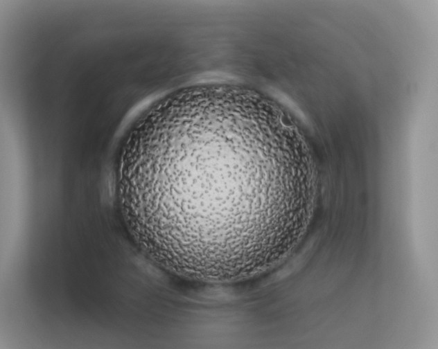 X0000113531358200909250857