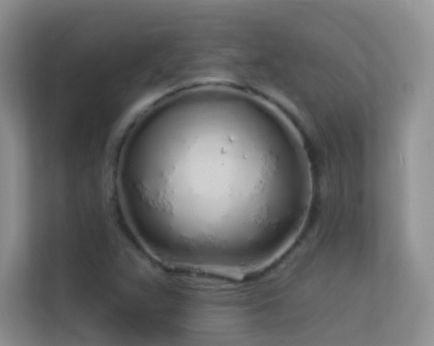 X0000113531359200909250857