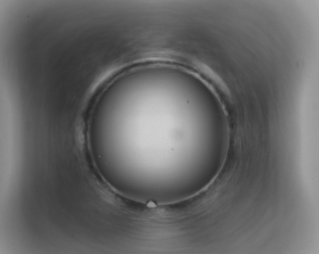 X0000113531360200909250857
