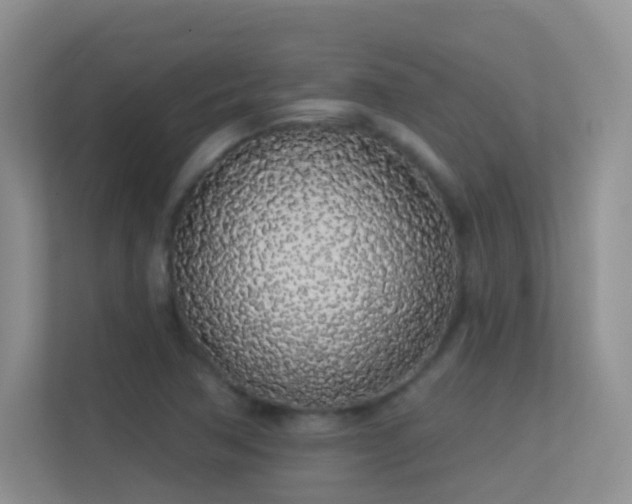 X0000113531362200909250857