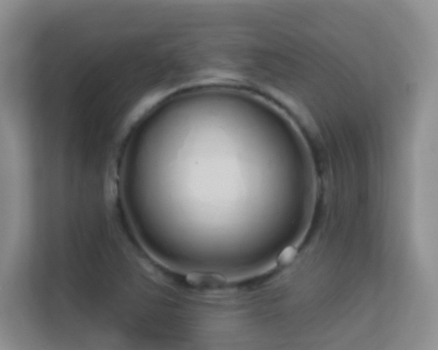 X0000113531363200909250857