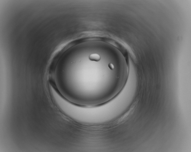 X0000113531365200909250857