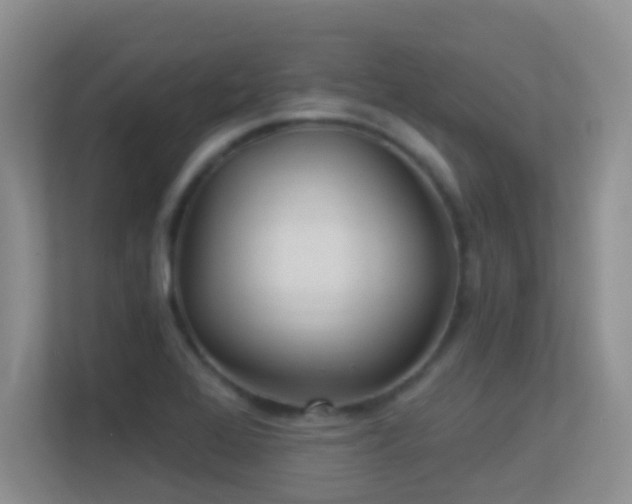 X0000113531368200909250857