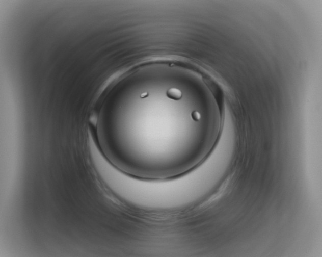 X0000113531369200909250857