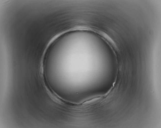 X0000113531372200909250857