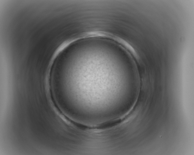 X0000113531373200909250857